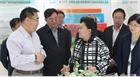 市委副書記、代市長艾麗華來我公司考察、調(diào)研